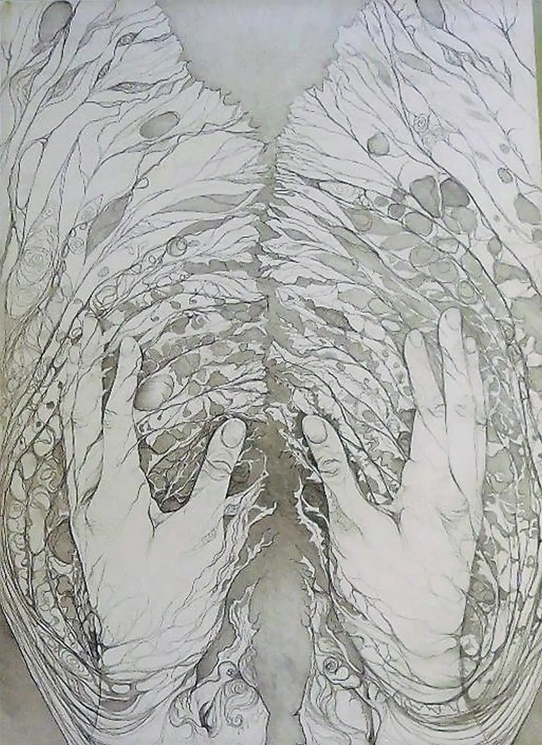 Petra Hospodura Grafik